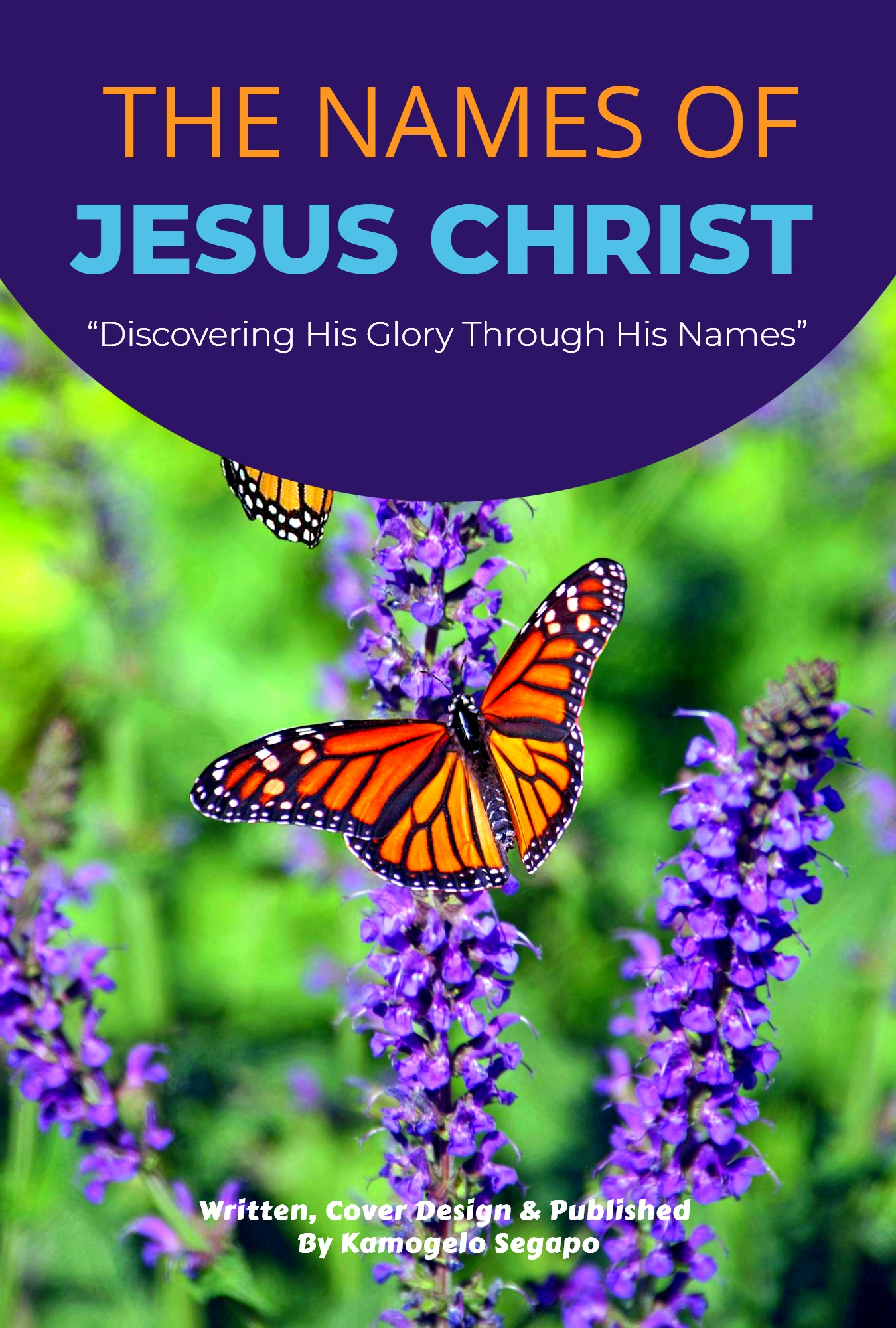 View THE NAMES OF JESUS CHRIST in the BookLaunchIQ Store